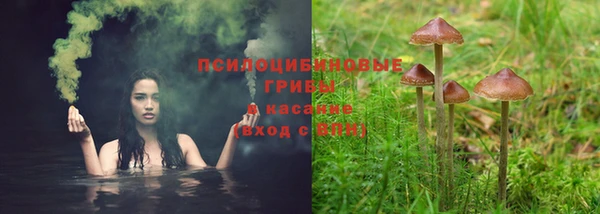 молекула духа Волосово