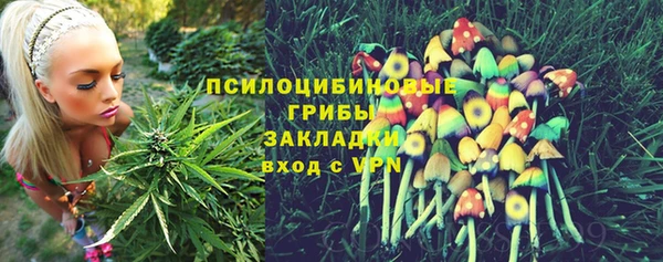 трава Волоколамск