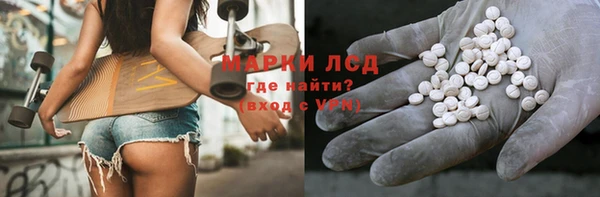 крисы Володарск