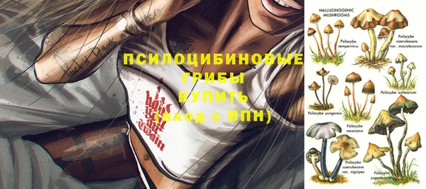 молекула духа Волосово