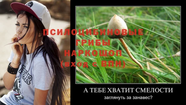 трава Волоколамск