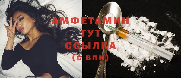 молекула духа Волосово