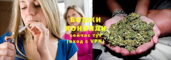 молекула духа Волосово