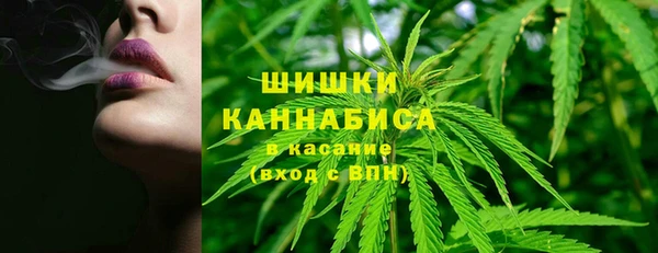 крисы Володарск